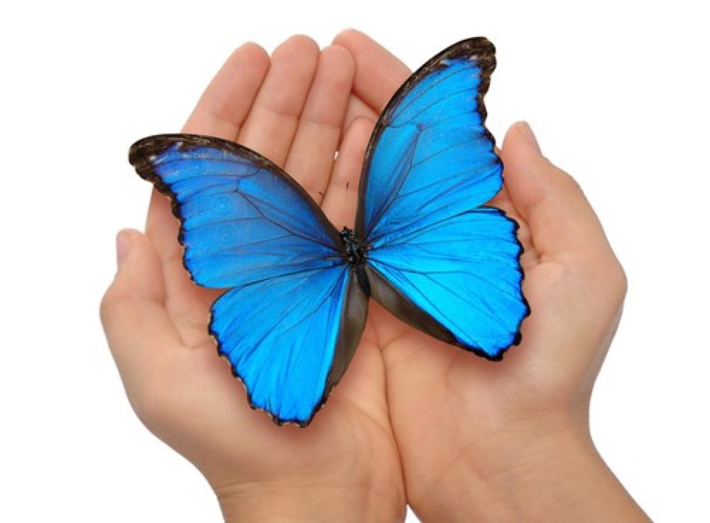 Unintentional Disabling: A trap for parents and leaders 1 22 c1